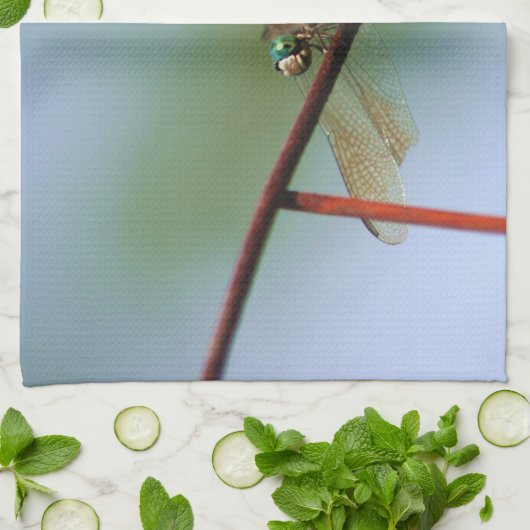 Dragonfly op draadhek dicht theedoek (Gevouwen)
