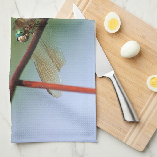 Dragonfly op draadhek dicht theedoek (Quarter Fold)