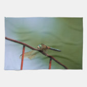 Dragonfly op draadhek dicht theedoek (Horizontaal)