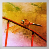 Dragonfly op draadhek gestoorde kunst poster (Voorkant)