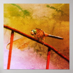 Dragonfly op draadhek gestoorde kunst poster
