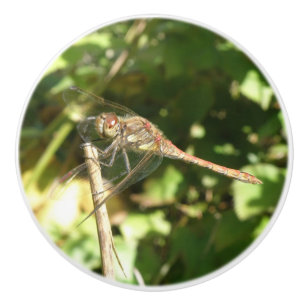 Dragonfly op een Twig Ceramic Knob Keramische Knop