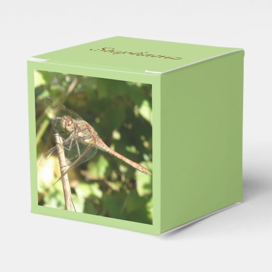 Dragonfly op een Twig Favor Box Bedankdoosjes (Voorkant Zijde)