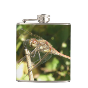 Dragonfly op een Twig Flask Heupfles