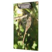 Dragonfly op een Twig-klembord Klembord (Links)