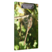 Dragonfly op een Twig-klembord Klembord (Rechts)