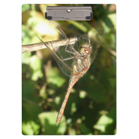 Dragonfly op een Twig-klembord Klembord (Voorkant)