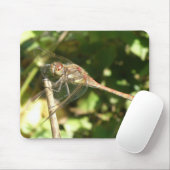 Dragonfly op een Twig Macro Mousepad Muismat (Met muis)