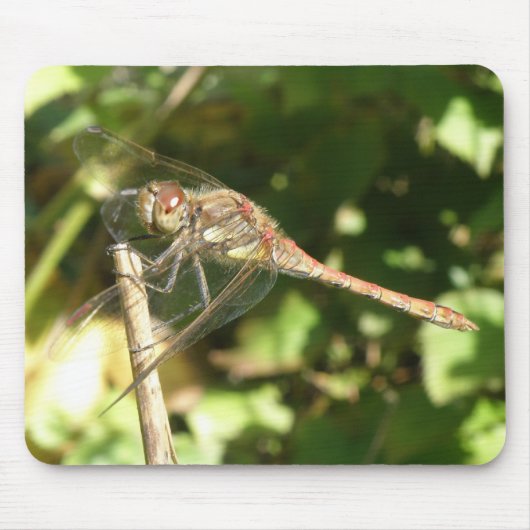 Dragonfly op een Twig Macro Mousepad Muismat (Voorkant)