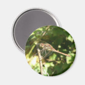 Dragonfly op een Twig Magnet (Voorkant / Achterkant)