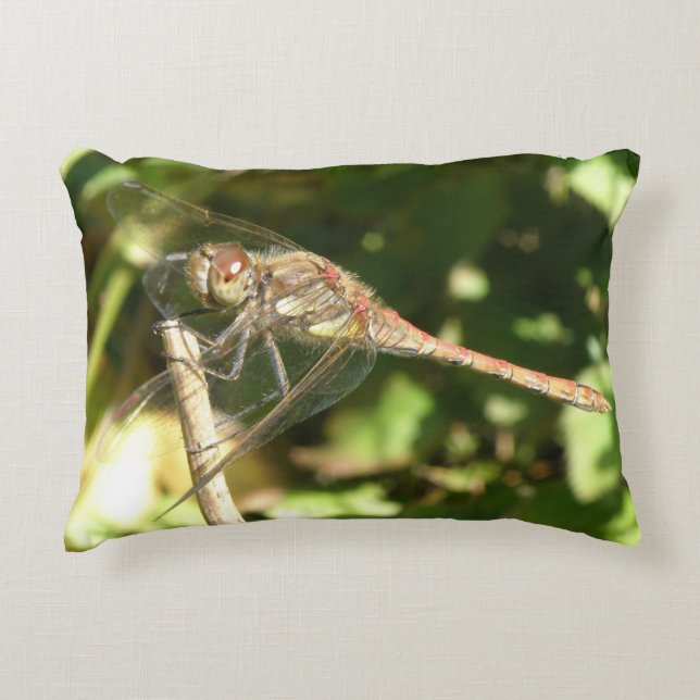 Dragonfly op een Twig Pillow Decoratief Kussen (Voorkant)