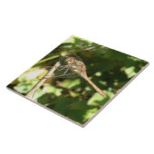 Dragonfly op een Twig Tile Tegeltje (Zijkant)