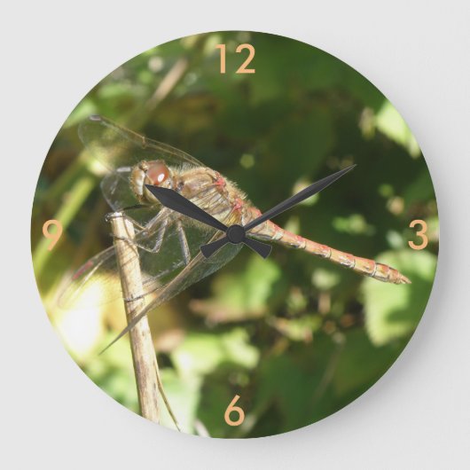 Dragonfly op een Twig Wall-klok Grote Klok (Voorkant)