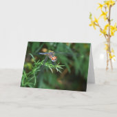 Dragonfly op een twijkkaart kaart (Gele Bloem)