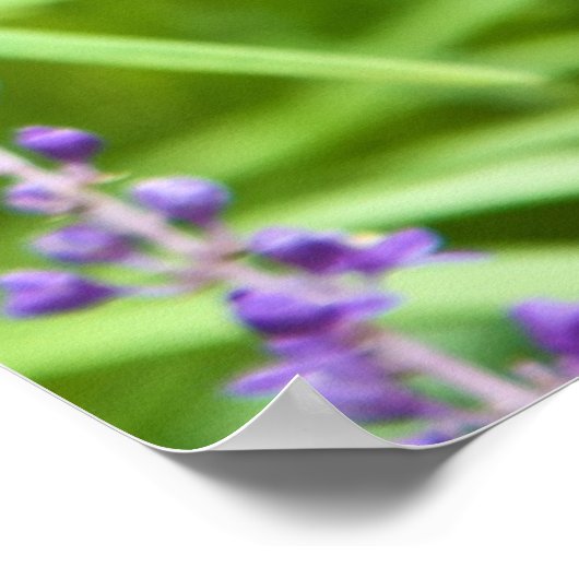 Dragonfly op een ventilator poster (Hoek)