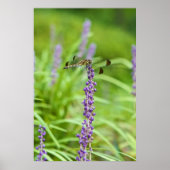 Dragonfly op een ventilator poster (Voorkant)