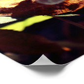 Dragonfly op gedroogd leder dicht poster (Hoek)