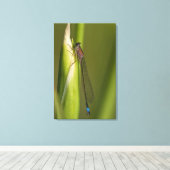 Dragonfly op gekwelde iris canvas afdruk (Insitu (Houten vloer))
