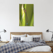 Dragonfly op gekwelde iris canvas afdruk (Insitu (Slaapkamer))
