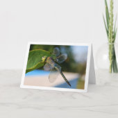 Dragonfly op Green Leaf Kaart (Voorkant)