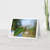 Dragonfly op Green Leaf Kaart (Voorkant)