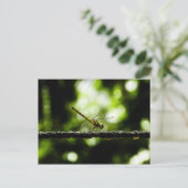 Dragonfly op groen - Briefkaarten (Staand voorkant)