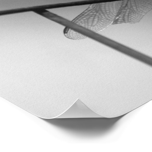 Dragonfly op hek zwart en wit poster (Hoek)