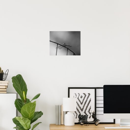 Dragonfly op hek zwart en wit poster (Thuiskantoor)