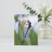 Dragonfly op iris briefkaart (Staand voorkant)