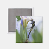 Dragonfly op iris magneet (Voorkant / Achterkant)