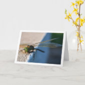 Dragonfly op Ledge Kaart (Gele Bloem)