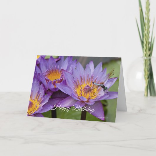 Dragonfly op Lily Birthday Kaart (Voorkant)