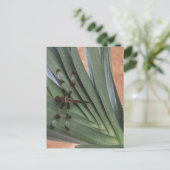 Dragonfly op plant briefkaart (Staand voorkant)