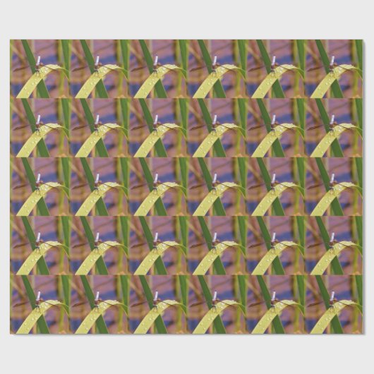 Dragonfly op regenblad cadeaupapier (Vlak)