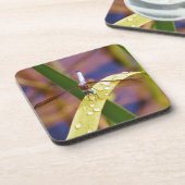 Dragonfly op regenblad drankjes onderzetter (Linkerzijde)