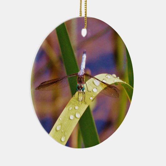 Dragonfly op regenblad keramisch ornament (Rechts)