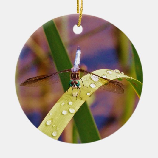 Dragonfly op regenblad keramisch ornament (Voorkant)