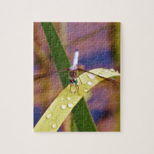 Dragonfly op regenblad legpuzzel