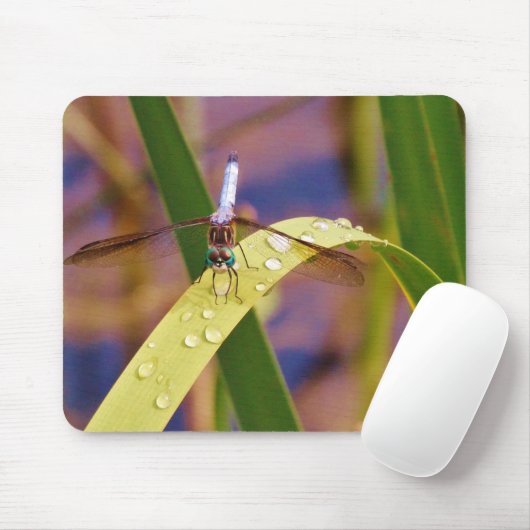 Dragonfly op regenblad muismat (Met muis)