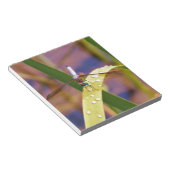 Dragonfly op regenblad notitieblok (Schuin)