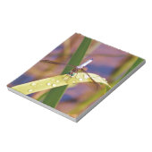Dragonfly op regenblad notitieblok (Linkerzijde)