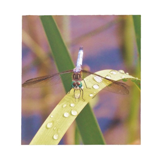 Dragonfly op regenblad notitieblok (Voorkant)