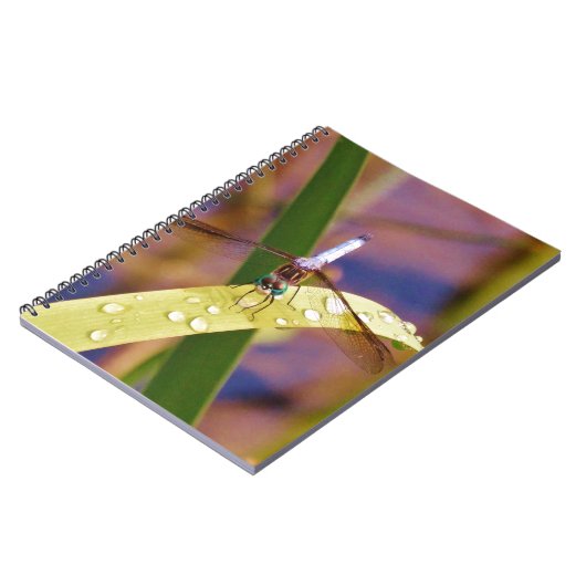 Dragonfly op regenblad notitieboek (Linkerzijde)