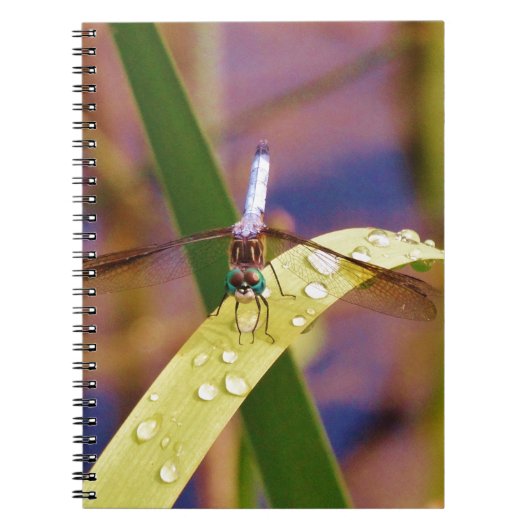 Dragonfly op regenblad notitieboek (Voorkant)