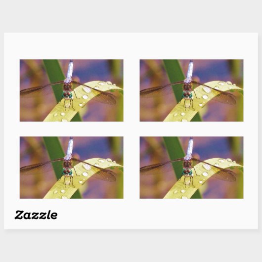 Dragonfly op regenblad rechthoekige sticker (Vel)
