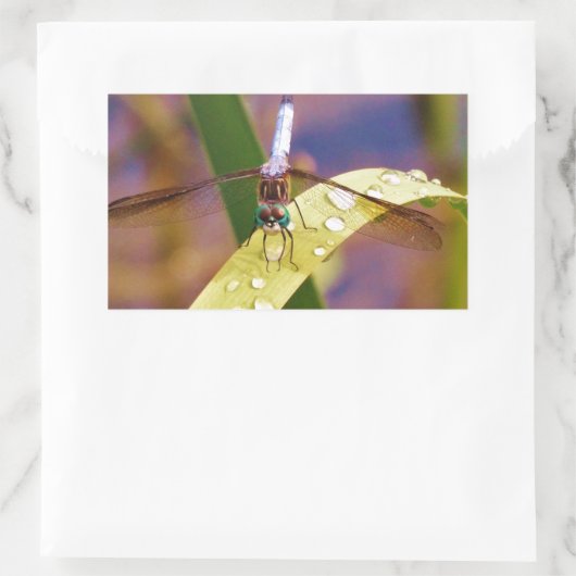 Dragonfly op regenblad rechthoekige sticker (Tas)