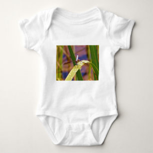Dragonfly op regenblad romper
