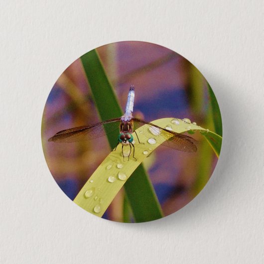 Dragonfly op regenblad ronde button 5,7 cm (Voorkant)