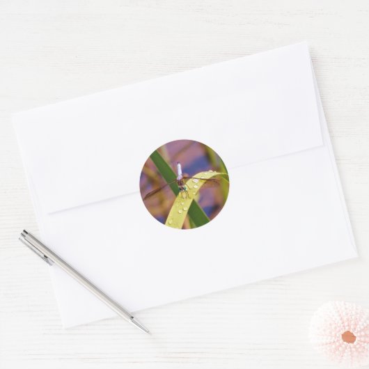 Dragonfly op regenblad ronde sticker (Envelop)