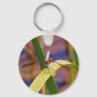 Dragonfly op regenblad sleutelhanger